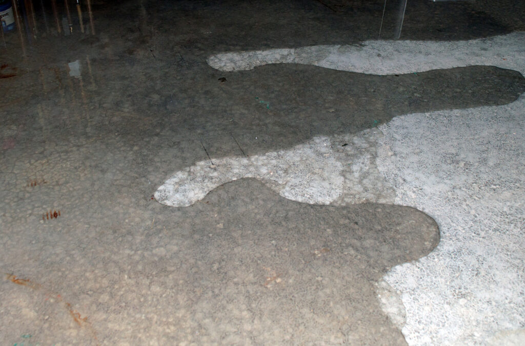 water seepage in a basement in boone, nc